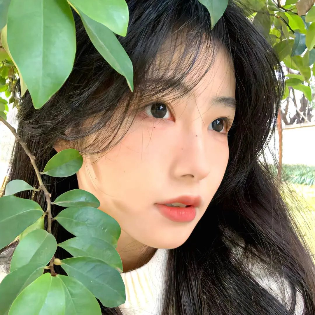 好莱坞洗牌